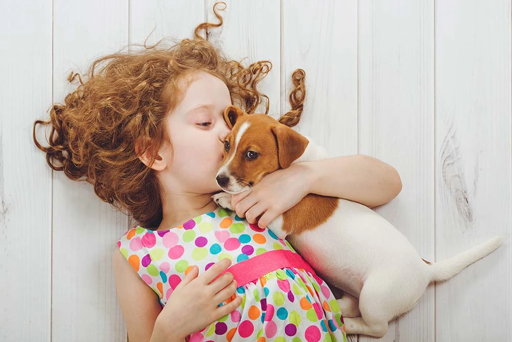 pets2